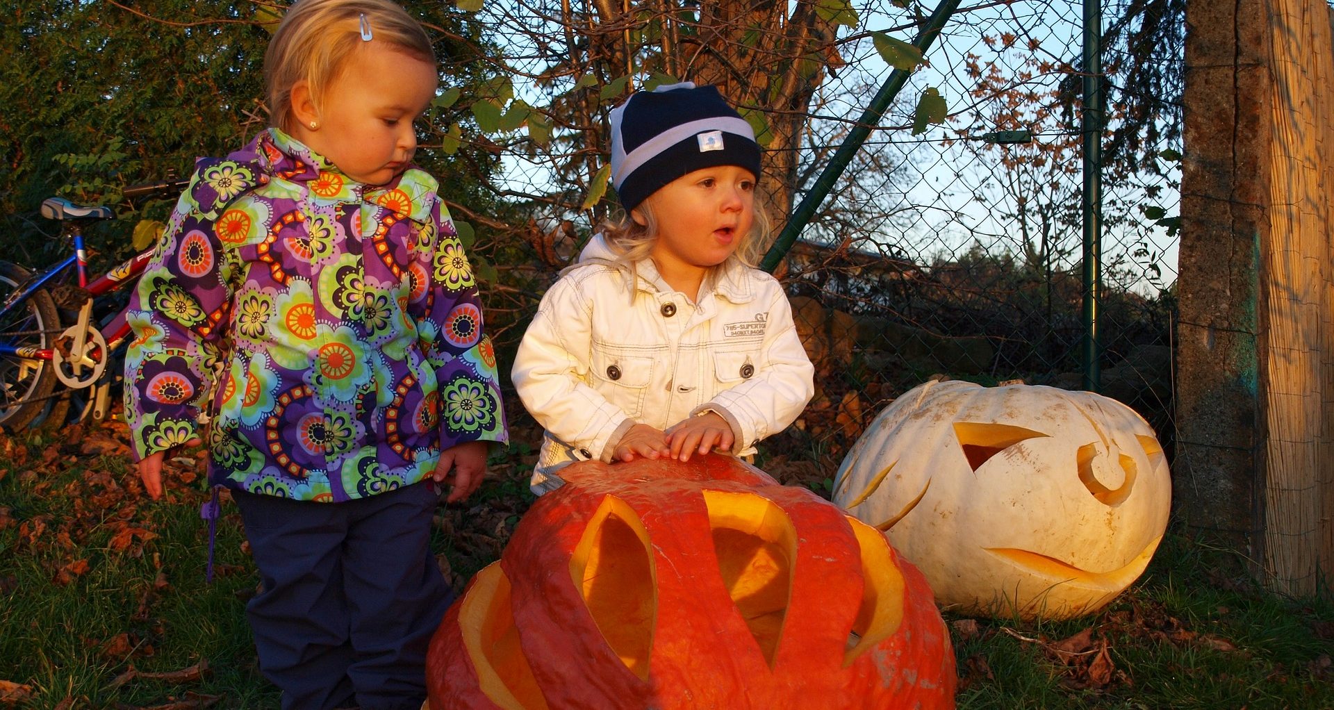 pumpkin-1716911_1920 no-scare halloween